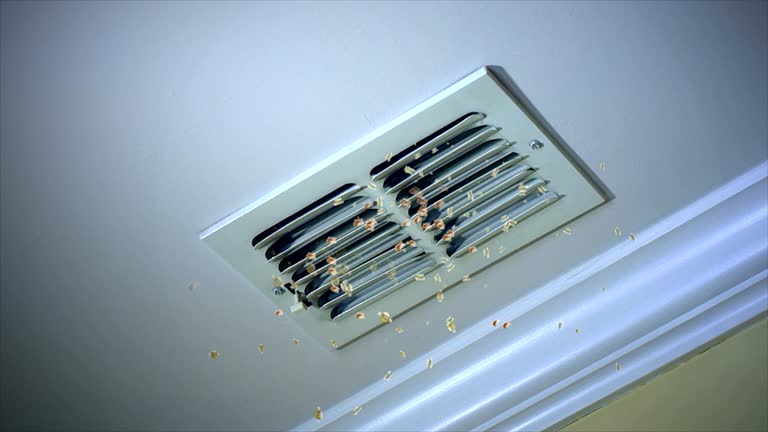 Best Air Vent Cleaning Services  in Lexington, OH